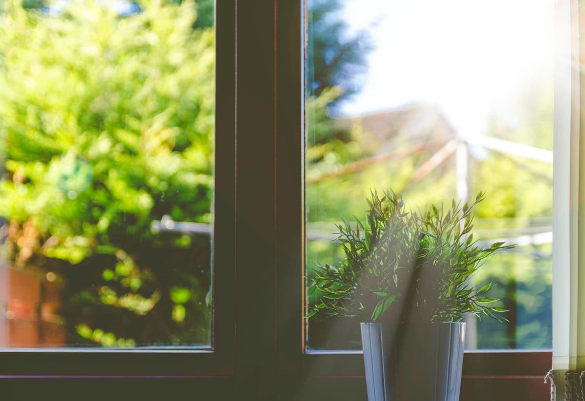 A calm and bright morning