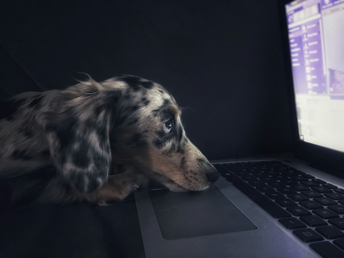 Depressed by an online comment