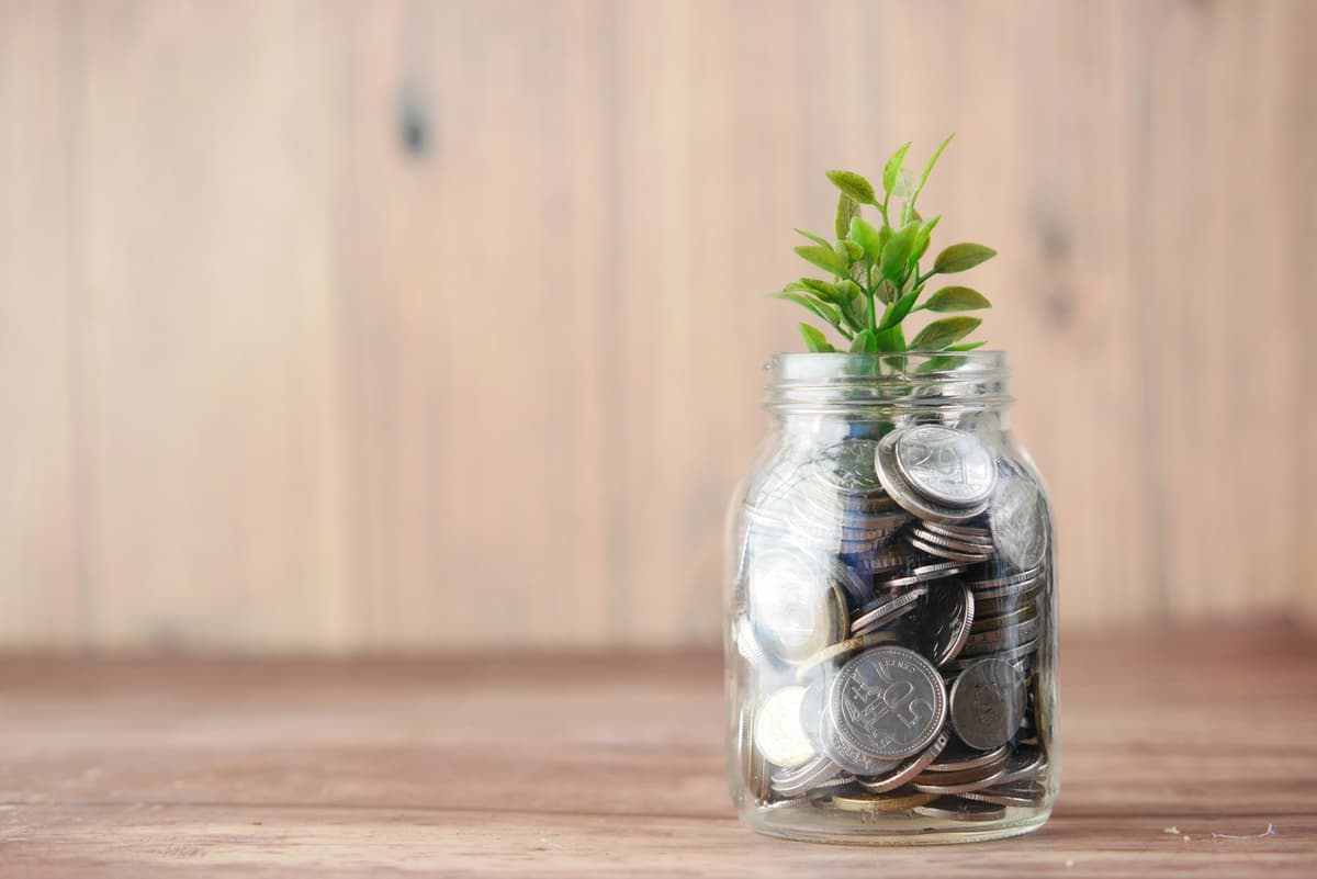 A sprout from a savings jar